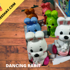 BUY PREMIUM QUALITY RABIT TOY WITH KEY ONLINE