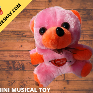 BUY TEADY BEAR WITH MUSIC