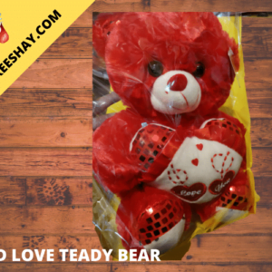 RED LOVE TEDDY BEAR BIG
