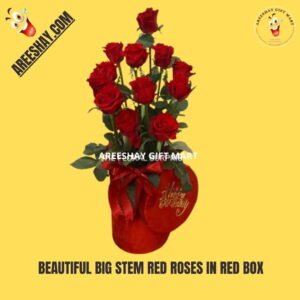 BEAUTIFUL BIG STEM RED ROSES IN RED BOX