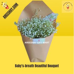 Baby's-breath Beautiful Bouquet