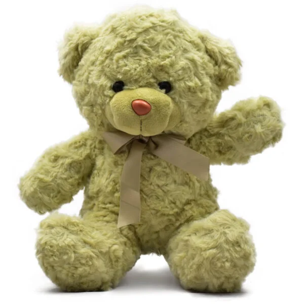Cute Hug Green Teddy Bear