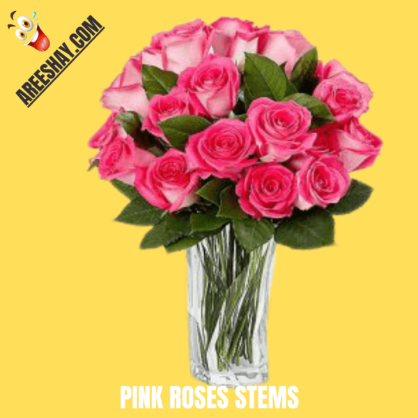 PINKK ROSES STEMS