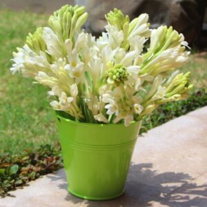 Sweet Splendor | Fresh Flowers