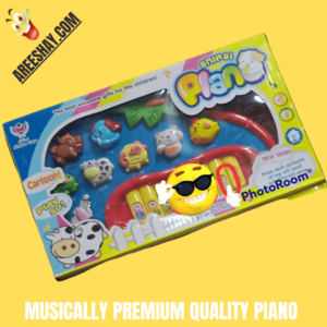 MUSICALLY PREMIUM QUALITY PIANO