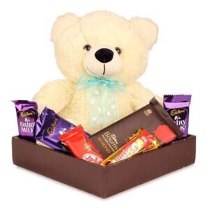 Teddy Bear Chocolate Pack