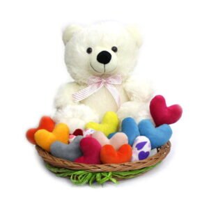 Teddy Bucket | Gift Basket