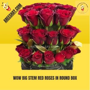 WOW BIG STEM RED ROSES IN ROUND BOX