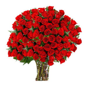 Red Rosses Big Bouquet | Fresh Flowers