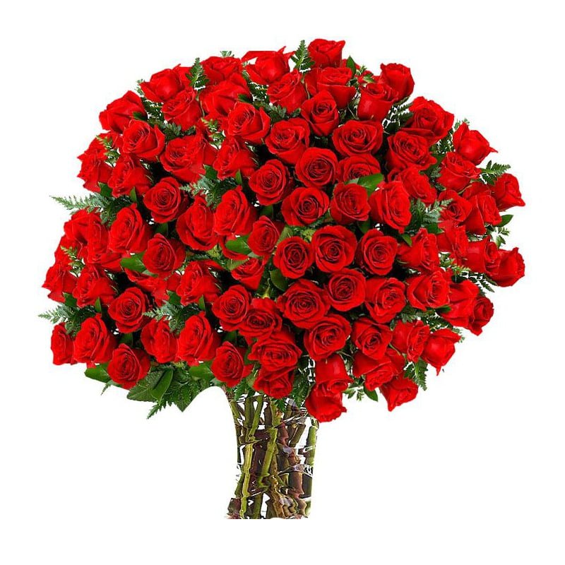 Red Rosses Big Bouquet | Fresh Flowers | Areeshay Gift Mart Flowers